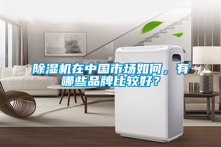 除濕機在中國市場如何，有哪些品牌比較好？