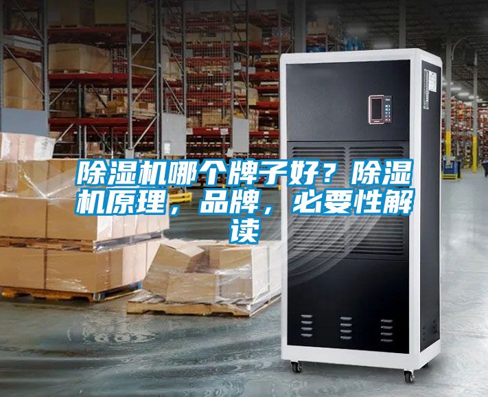 除濕機哪個牌子好？除濕機原理，品牌，必要性解讀