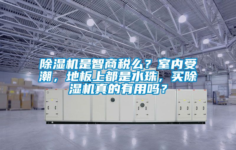 除濕機是智商稅么？室內受潮，地板上都是水珠，買除濕機真的有用嗎？