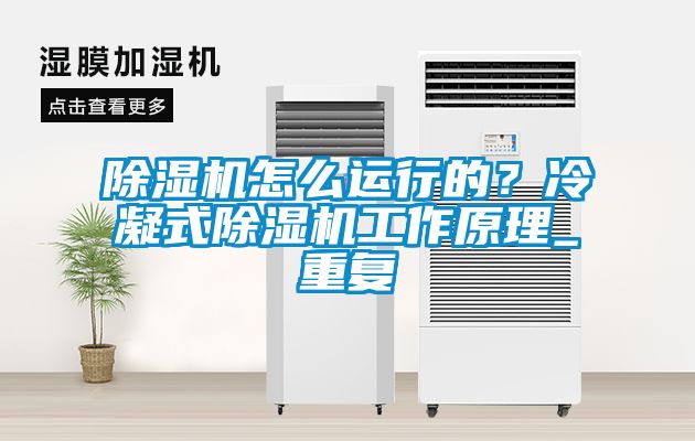 除濕機怎么運行的？冷凝式除濕機工作原理_重復