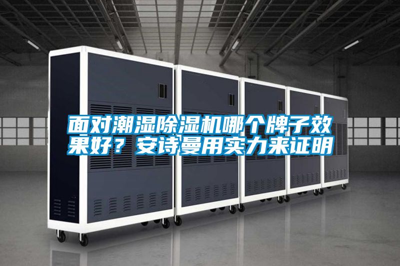 面對潮濕除濕機哪個牌子效果好？安詩曼用實力來證明