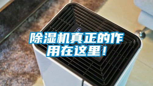 除濕機(jī)真正的作用在這里！