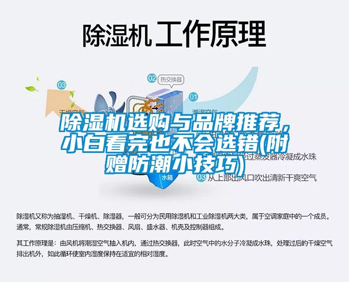 除濕機(jī)選購(gòu)與品牌推薦，小白看完也不會(huì)選錯(cuò)(附贈(zèng)防潮小技巧)