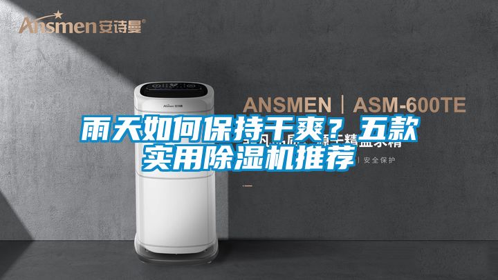 雨天如何保持干爽？五款實(shí)用除濕機(jī)推薦