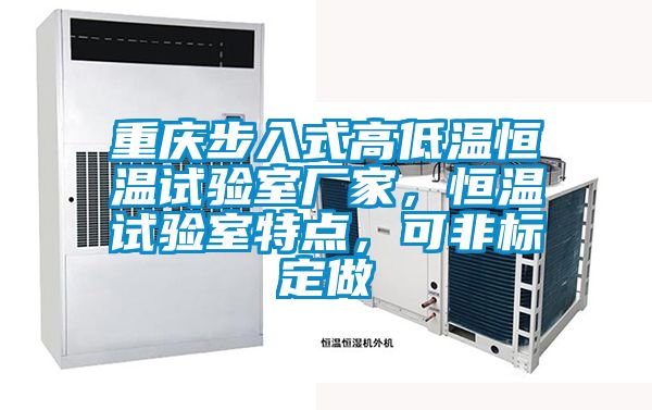 重慶步入式高低溫恒溫試驗室廠家，恒溫試驗室特點，可非標定做