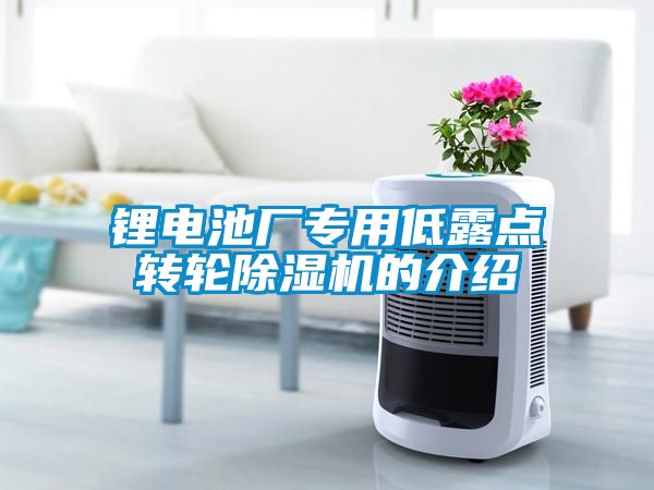 鋰電池廠專用低露點轉(zhuǎn)輪除濕機(jī)的介紹
