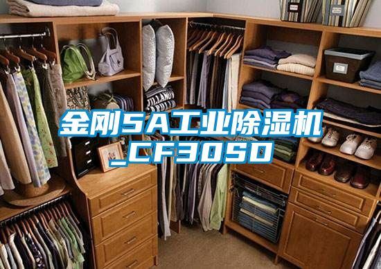 金剛5A工業(yè)除濕機(jī)_CF30SD