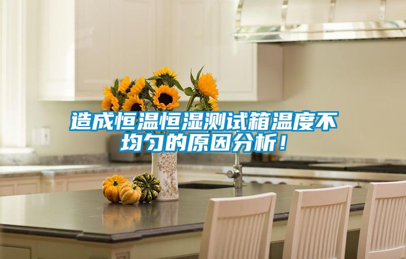 造成恒溫恒濕測試箱溫度不均勻的原因分析！
