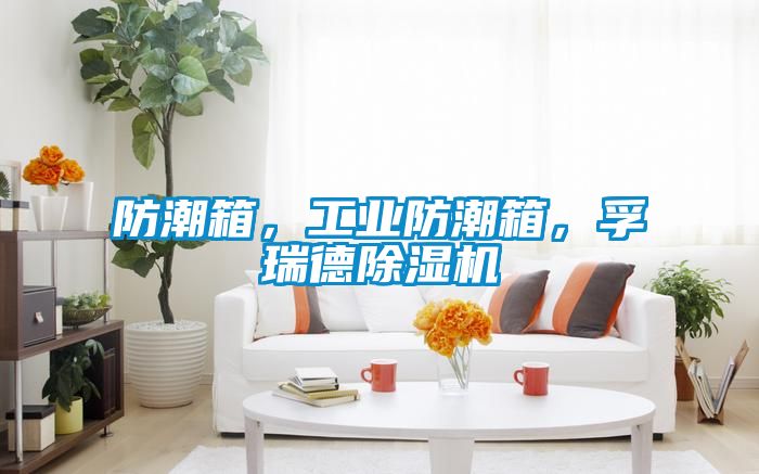 防潮箱，工業(yè)防潮箱，孚瑞德除濕機