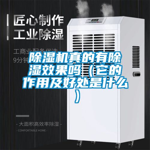 除濕機(jī)真的有除濕效果嗎(它的作用及好處是什么)