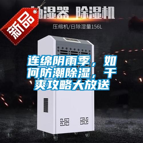 連綿陰雨季，如何防潮除濕，干爽攻略大放送