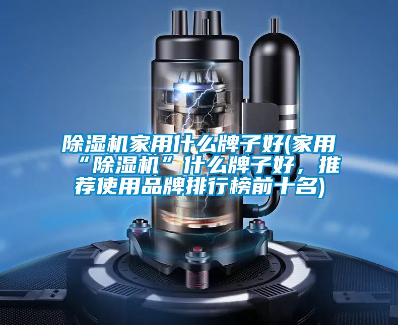 除濕機(jī)家用什么牌子好(家用“除濕機(jī)”什么牌子好，推薦使用品牌排行榜前十名)