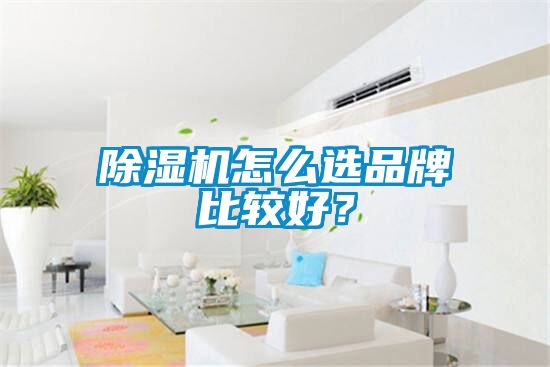 除濕機(jī)怎么選品牌比較好？