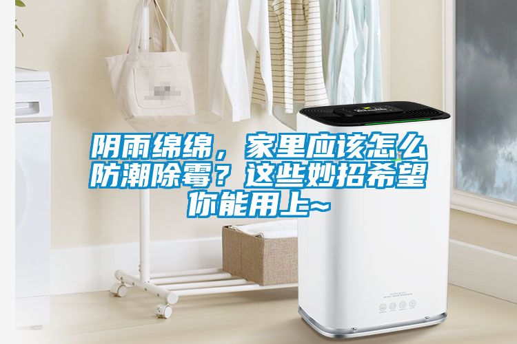 陰雨綿綿，家里應(yīng)該怎么防潮除霉？這些妙招希望你能用上~