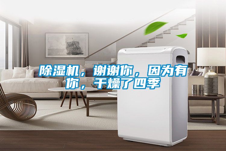 除濕機(jī)，謝謝你，因為有你，干燥了四季