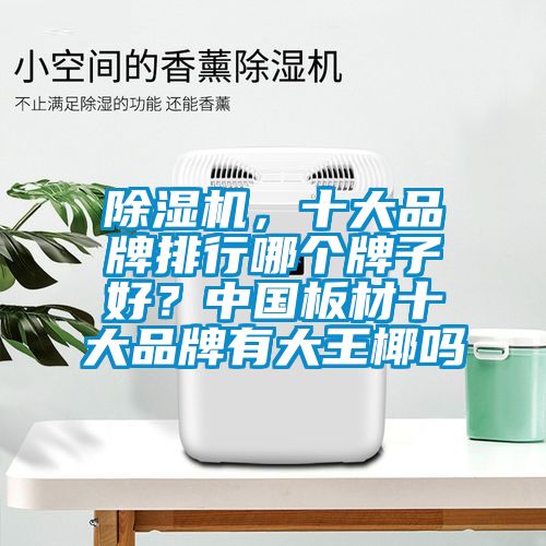 除濕機，十大品牌排行哪個牌子好？中國板材十大品牌有大王椰嗎