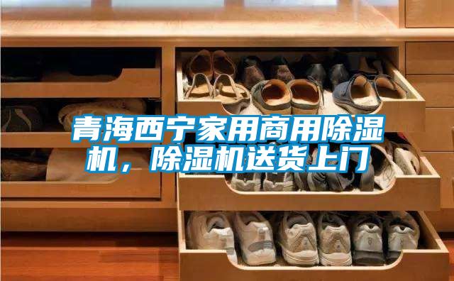 青海西寧家用商用除濕機(jī)，除濕機(jī)送貨上門