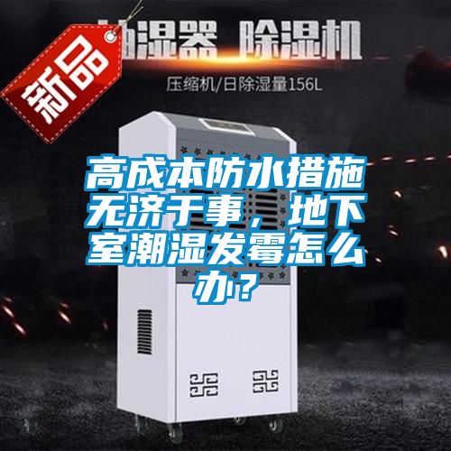 高成本防水措施無(wú)濟(jì)于事，地下室潮濕發(fā)霉怎么辦？
