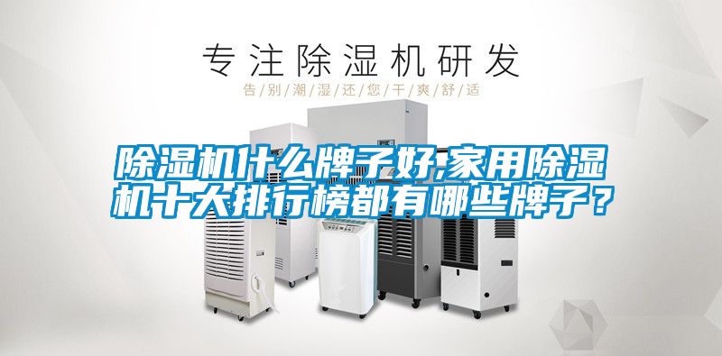 除濕機(jī)什么牌子好,家用除濕機(jī)十大排行榜都有哪些牌子？