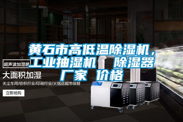 黃石市高低溫除濕機(jī)，工業(yè)抽濕機(jī)  除濕器廠家 價(jià)格