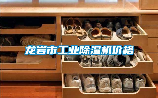 龍巖市工業(yè)除濕機價格
