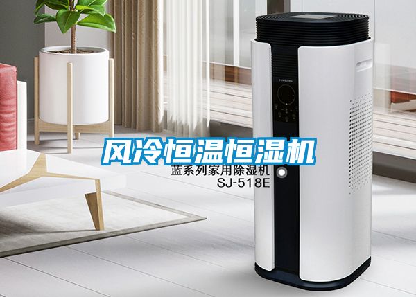 風(fēng)冷恒溫恒濕機