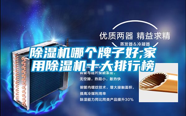 除濕機(jī)哪個牌子好,家用除濕機(jī)十大排行榜