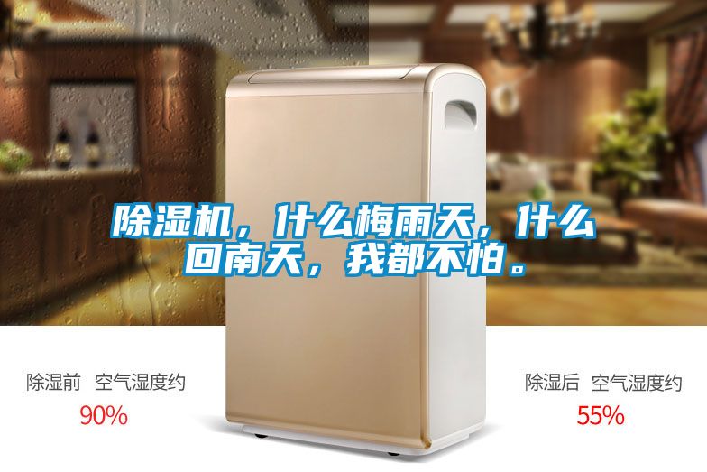 除濕機(jī)，什么梅雨天，什么回南天，我都不怕。