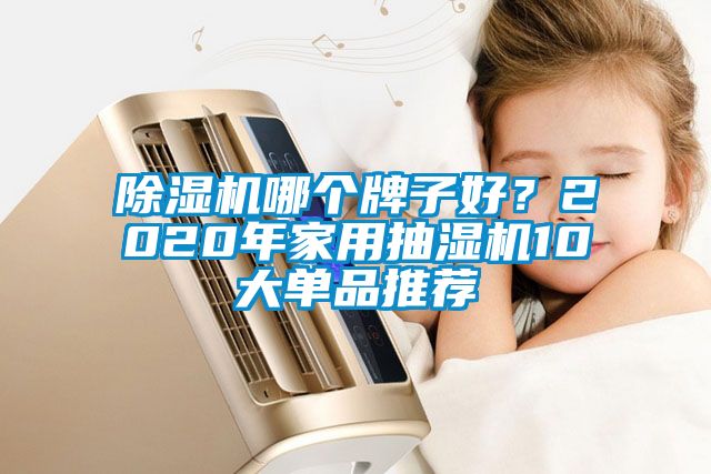 除濕機哪個牌子好？2020年家用抽濕機10大單品推薦