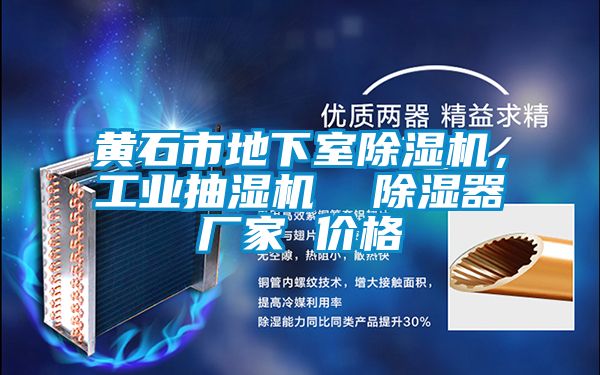 黃石市地下室除濕機，工業(yè)抽濕機  除濕器廠家 價格