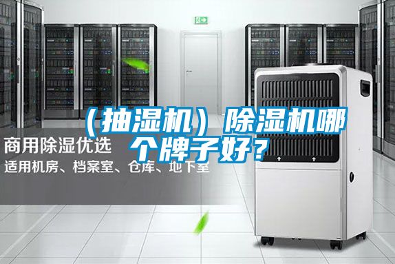 （抽濕機）除濕機哪個牌子好？