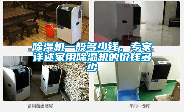 除濕機(jī)一般多少錢，專家詳述家用除濕機(jī)的價錢多少