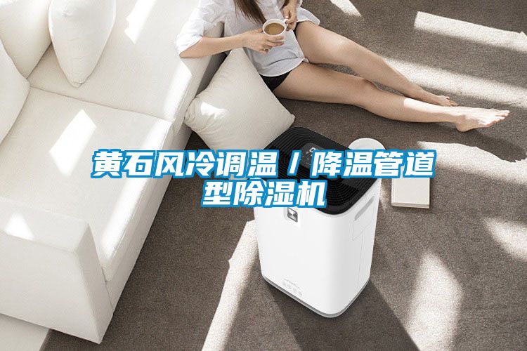 黃石風冷調(diào)溫/降溫管道型除濕機